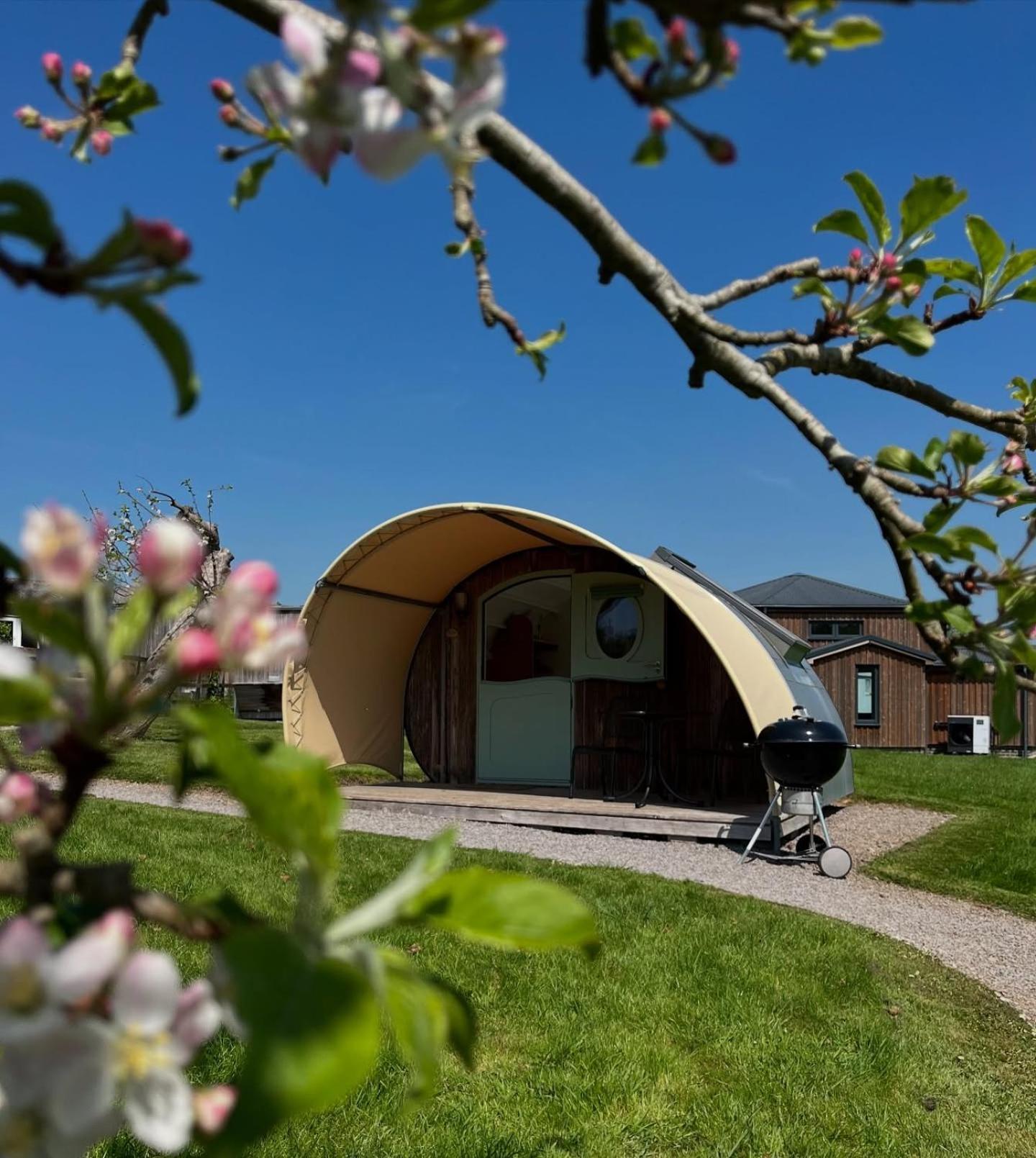 Middlewick Holiday Cottages Glastonbury Exterior foto